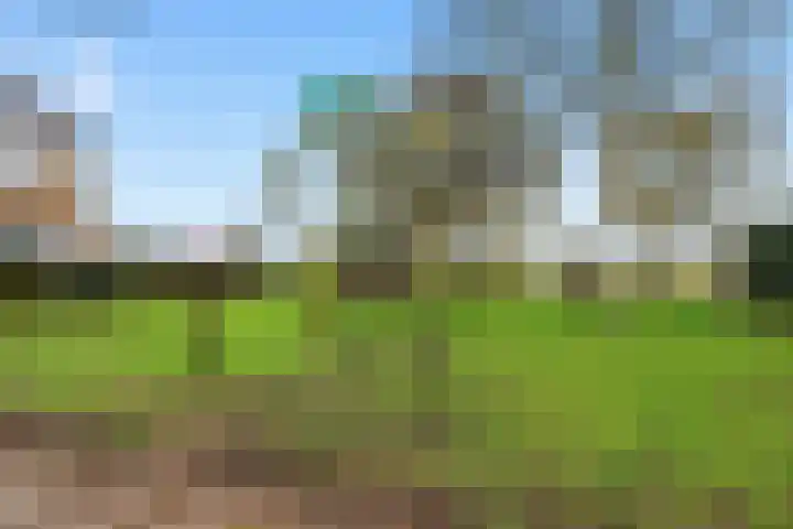 Meeuwstraat 18 Jisp thumbnail 34