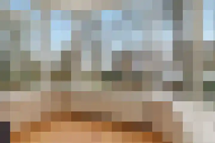 Meeuwstraat 18 Jisp thumbnail 6