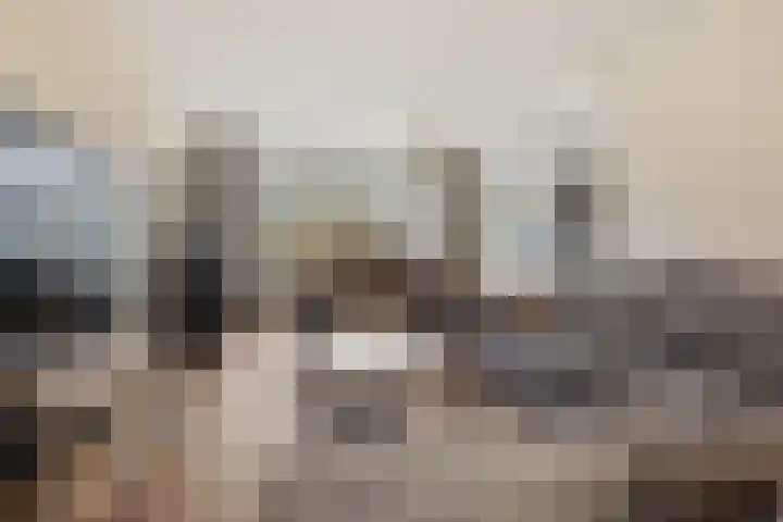 Meeuwstraat 18 Jisp thumbnail 7