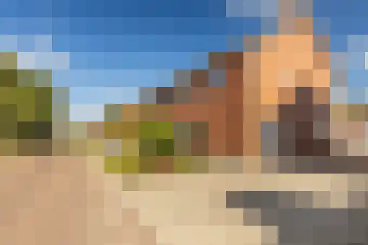 Meexstraat 12 Stein thumbnail 10