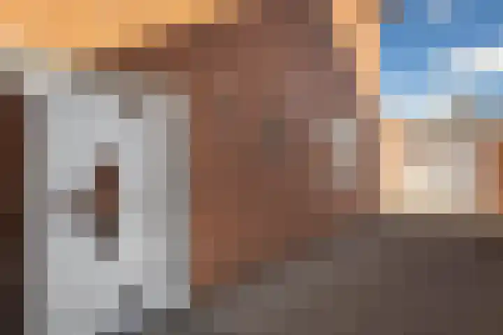 Meexstraat 12 Stein thumbnail 11