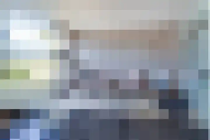 Meexstraat 12 Stein thumbnail 15
