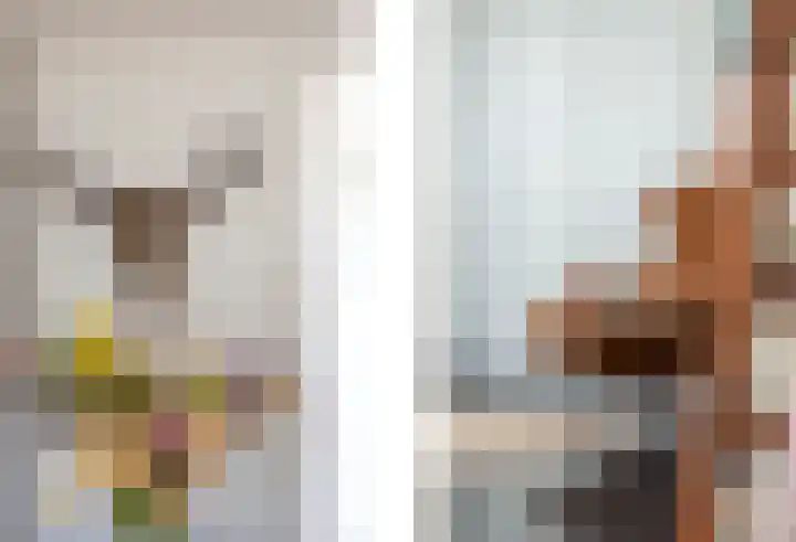 Meexstraat 12 Stein thumbnail 23