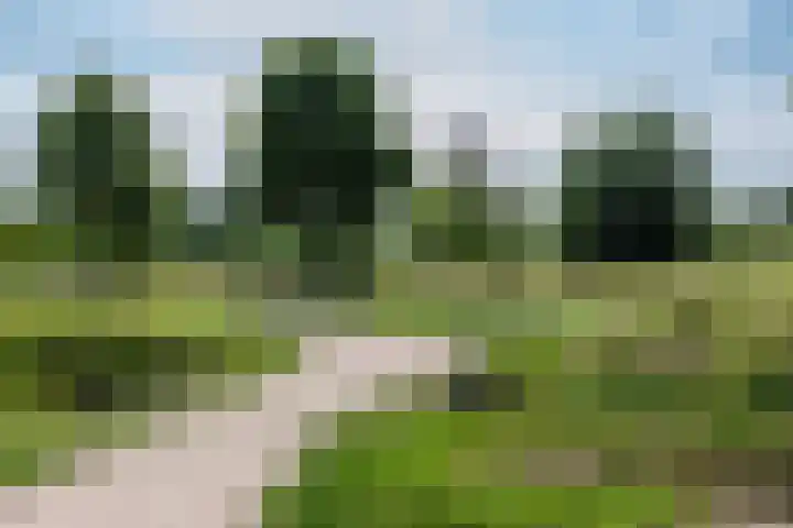 Meexstraat 12 Stein thumbnail 29