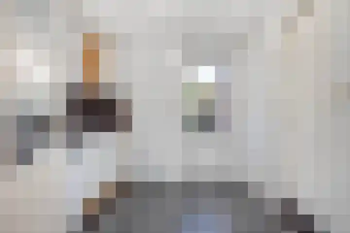 Meexstraat 12 Stein thumbnail 31