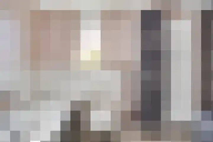 Meexstraat 12 Stein thumbnail 35