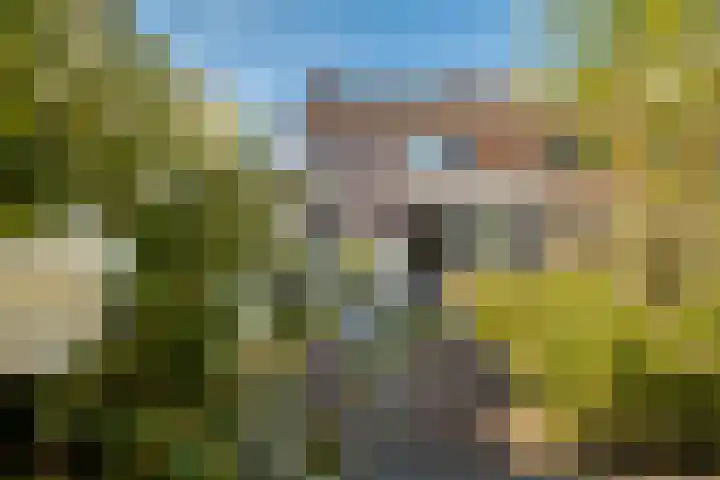 Meexstraat 12 Stein thumbnail 4