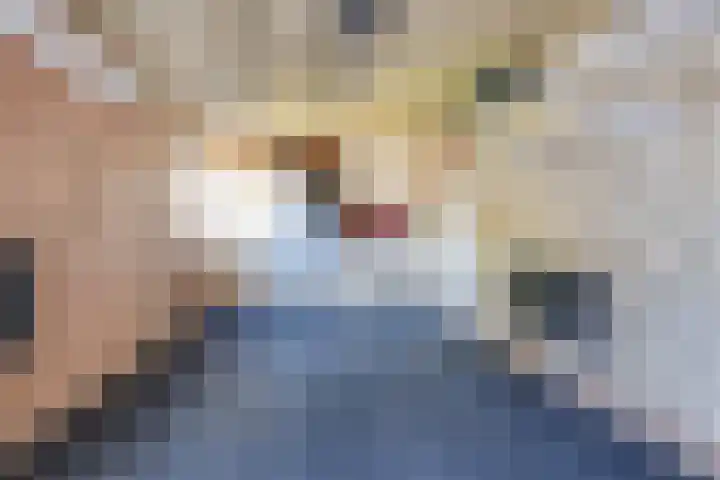 Meexstraat 12 Stein thumbnail 41