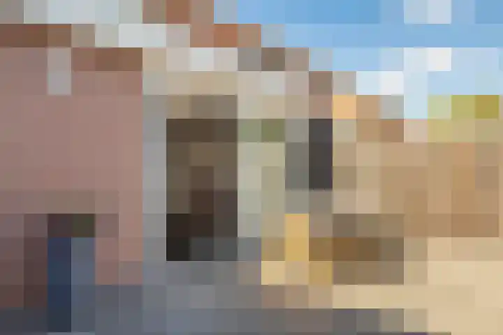 Meexstraat 12 Stein thumbnail 46