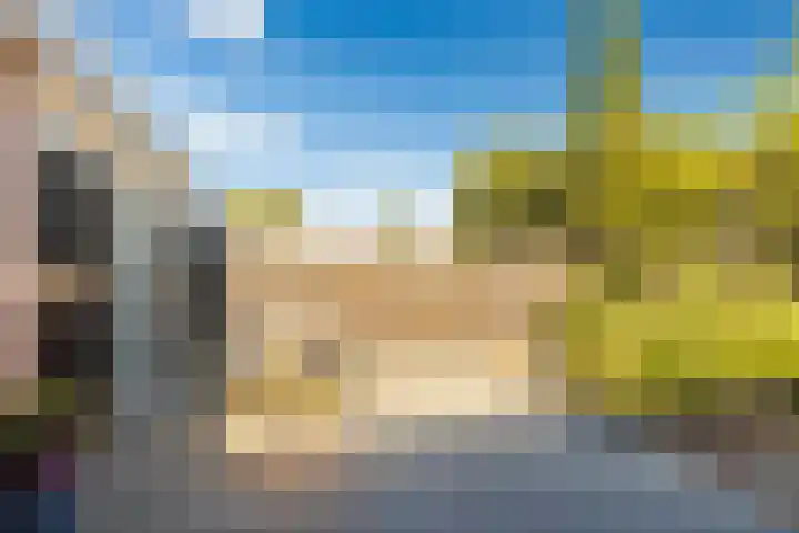 Meexstraat 12 Stein thumbnail 47
