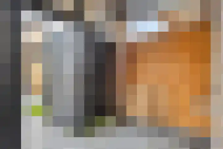 Meexstraat 12 Stein thumbnail 48