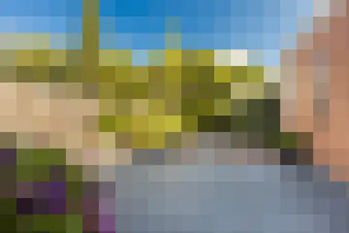Meexstraat 12 Stein thumbnail 48