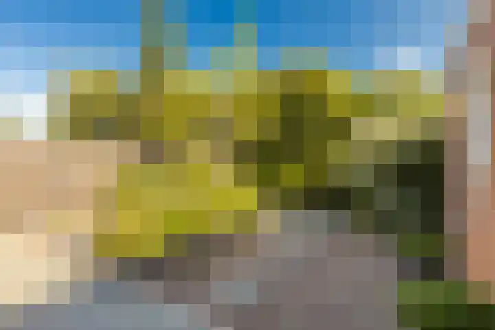 Meexstraat 12 Stein thumbnail 49