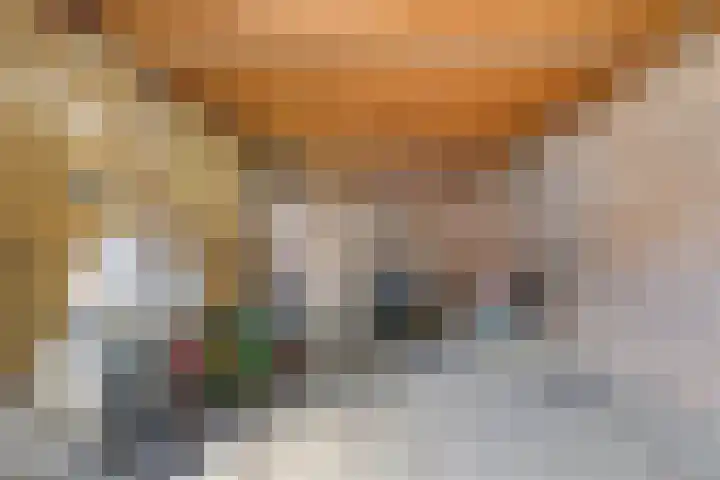 Meexstraat 12 Stein thumbnail 50