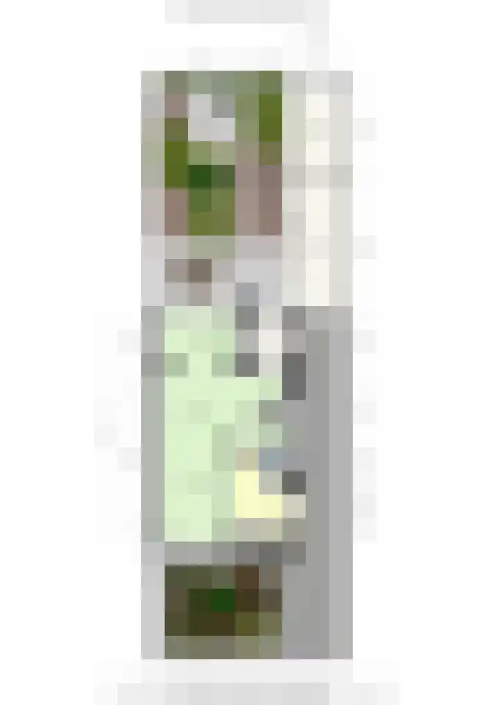 Meexstraat 12 Stein thumbnail 52