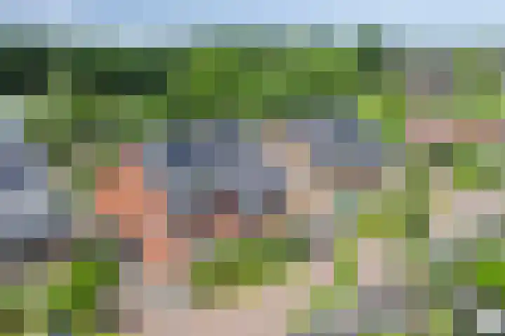 Meexstraat 12 Stein thumbnail 55
