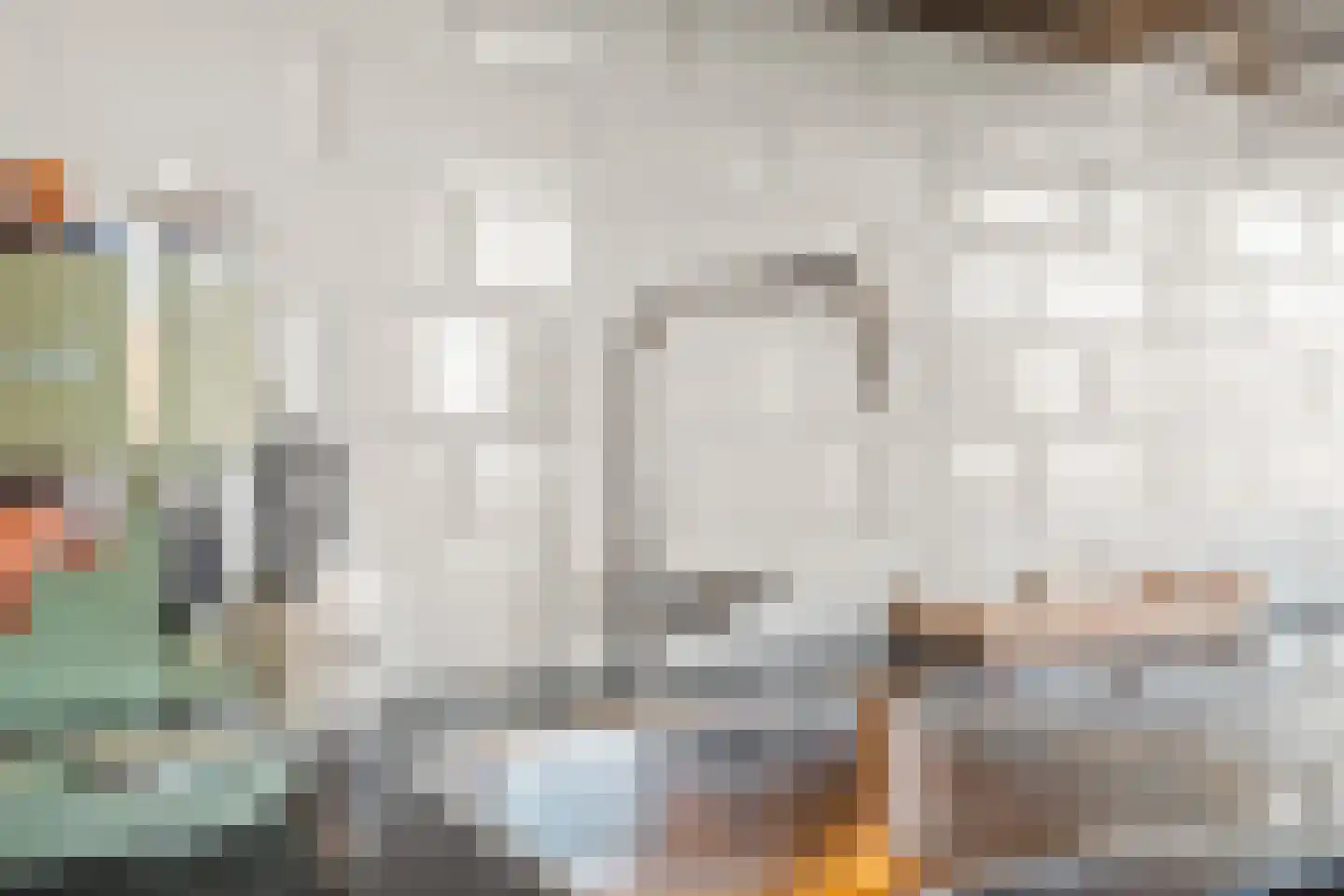 Meexstraat 12 Stein thumbnail 58