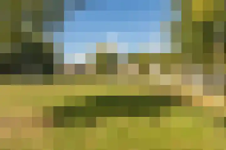 Meexstraat 12 Stein thumbnail 6
