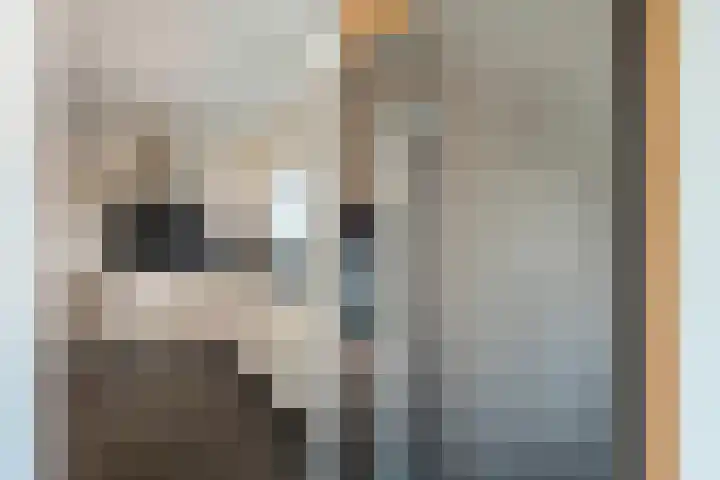 Meexstraat 18 Stein thumbnail 18
