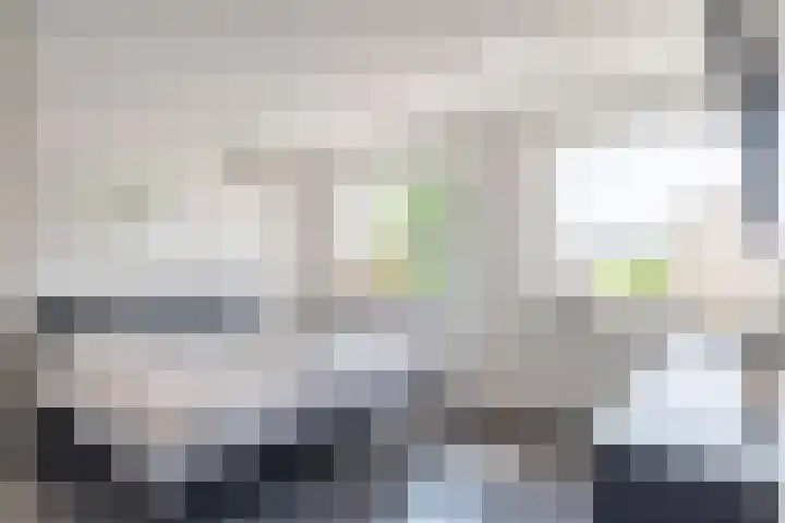 Meexstraat 18 Stein thumbnail 22