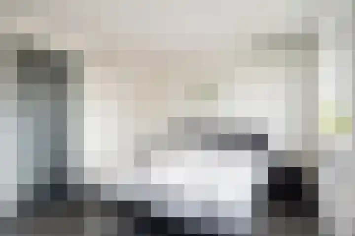 Meexstraat 18 Stein thumbnail 23