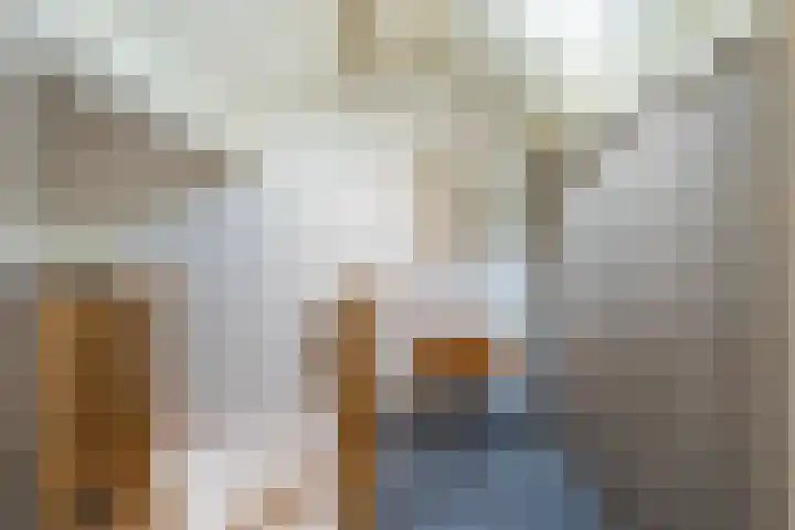 Meexstraat 18 Stein thumbnail 32