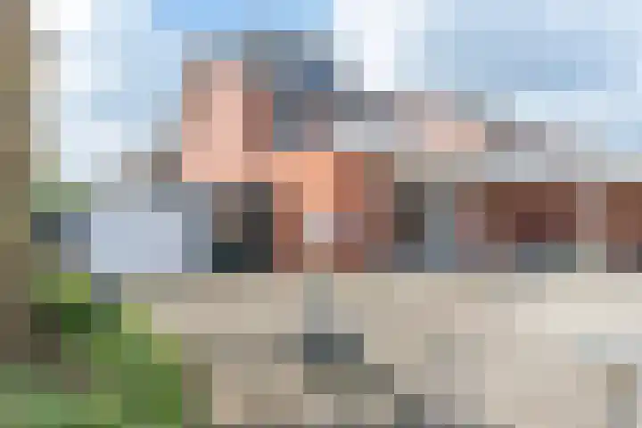 Meexstraat 18 Stein thumbnail 35