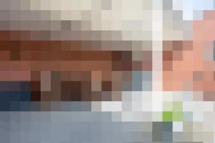 Meexstraat 18 Stein thumbnail 36