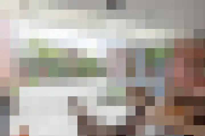 Meexstraat 18 Stein thumbnail 37
