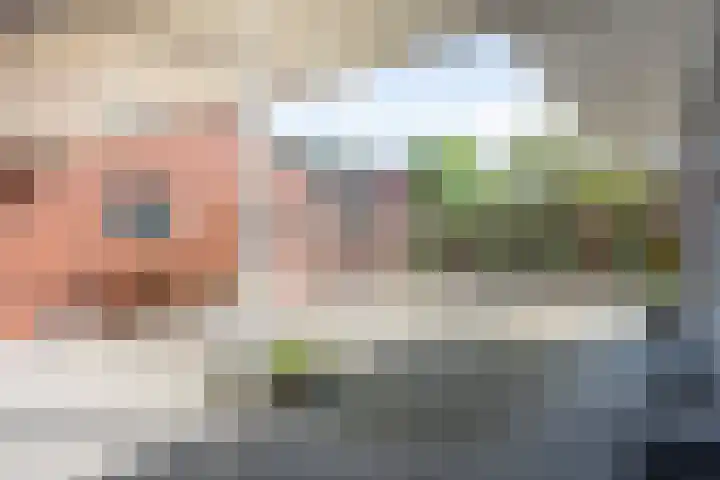 Meexstraat 18 Stein thumbnail 39