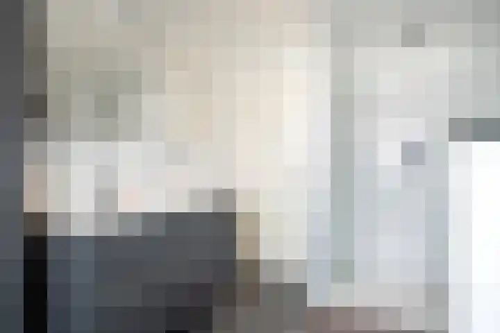 Meexstraat 18 Stein thumbnail 4
