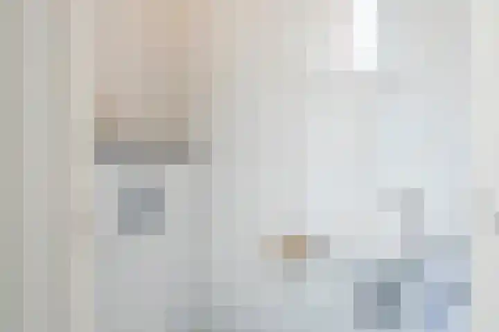 Meexstraat 18 Stein thumbnail 9