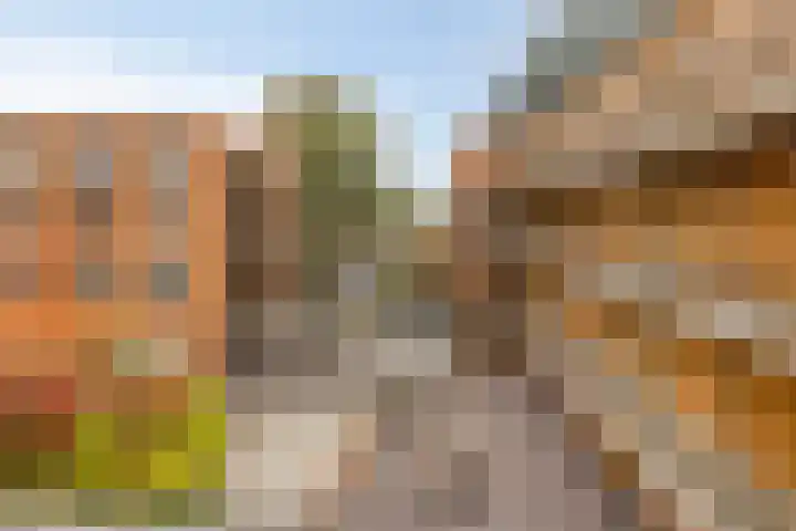 Meiboomstraat 28 Deventer thumbnail 39