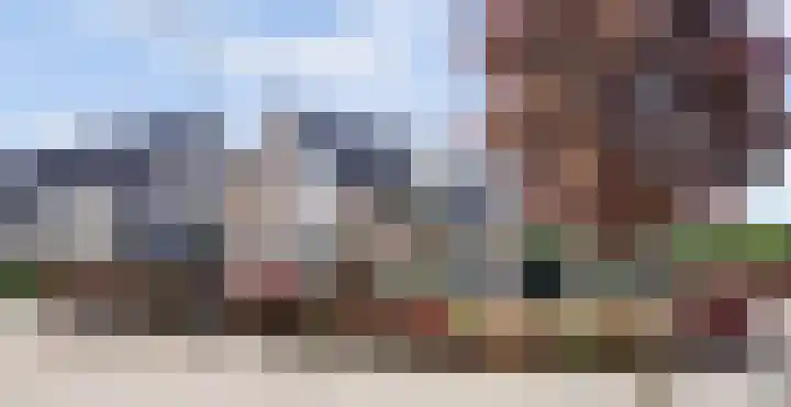 Meidoorn 2 Wilp