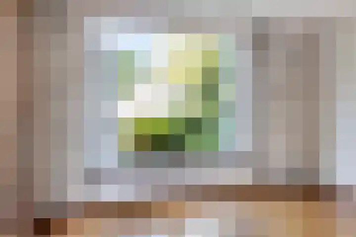 Meidoorn 44 Geldrop thumbnail 12
