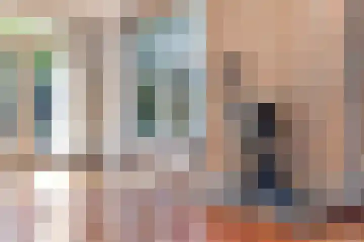 Meidoorn 44 Geldrop thumbnail 13