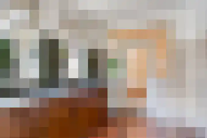 Meidoorn 44 Geldrop thumbnail 17
