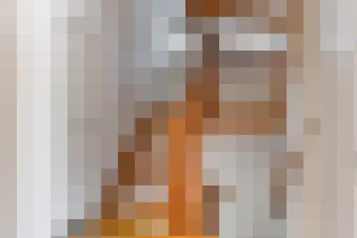 Meidoorn 44 Geldrop thumbnail 20