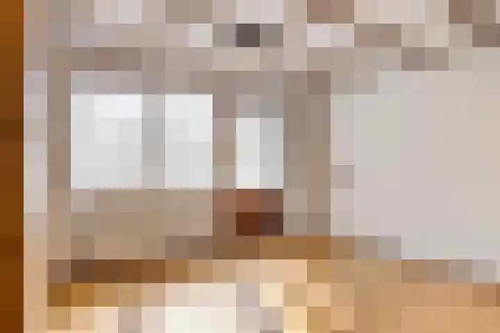 Meidoorn 44 Geldrop thumbnail 21
