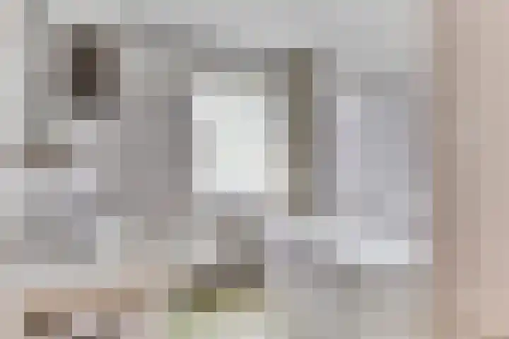 Meidoorn 44 Geldrop thumbnail 24