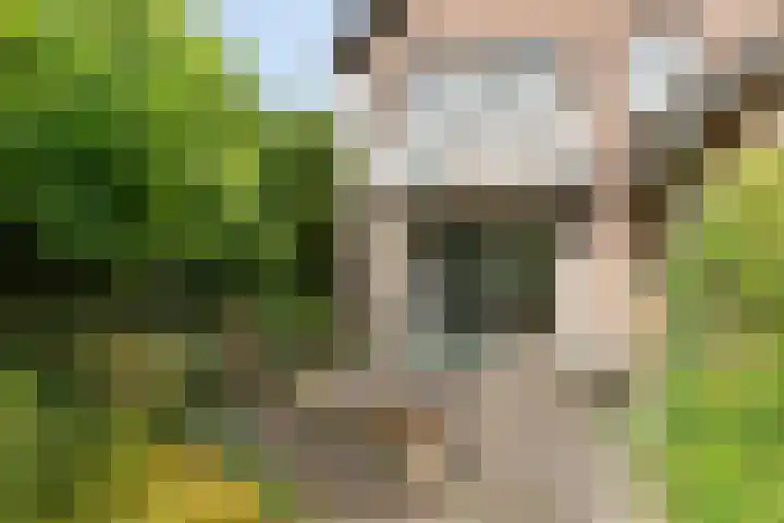 Meidoorn 44 Geldrop thumbnail 33