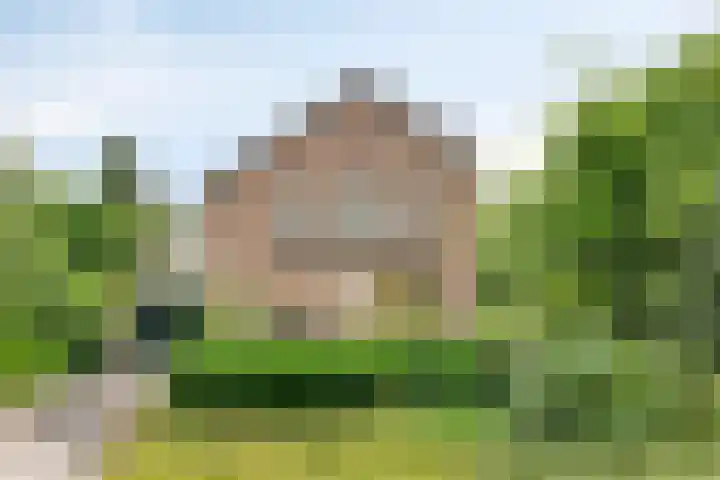 Meidoorn 44 Geldrop thumbnail 38