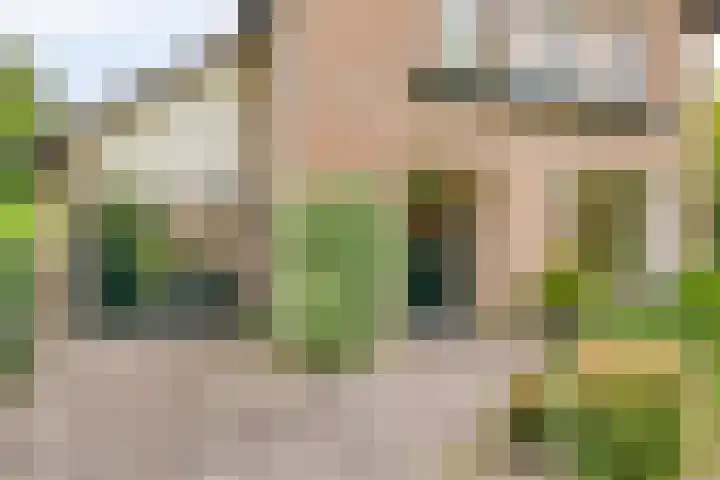 Meidoorn 44 Geldrop thumbnail 7