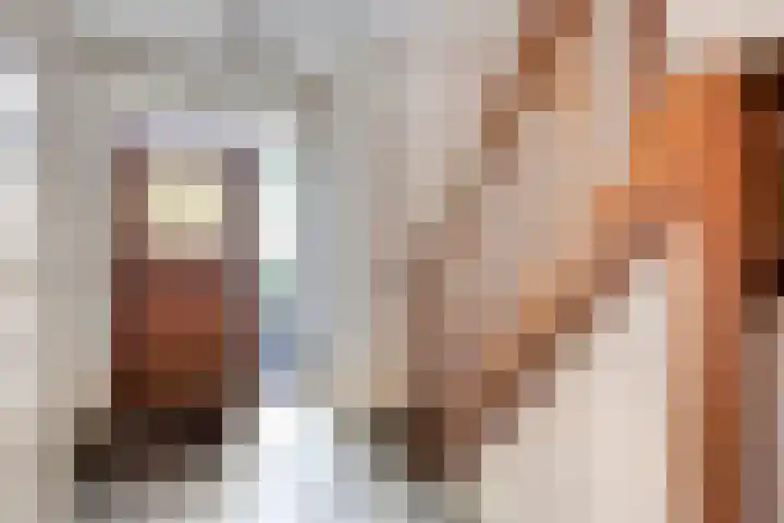 Meidoorn 44 Geldrop thumbnail 8