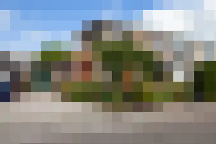 Meidoornlaan 11 in Kamerik
