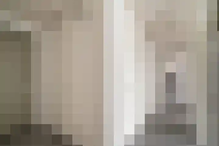 Meidoornlaan 139 Pijnacker thumbnail 19