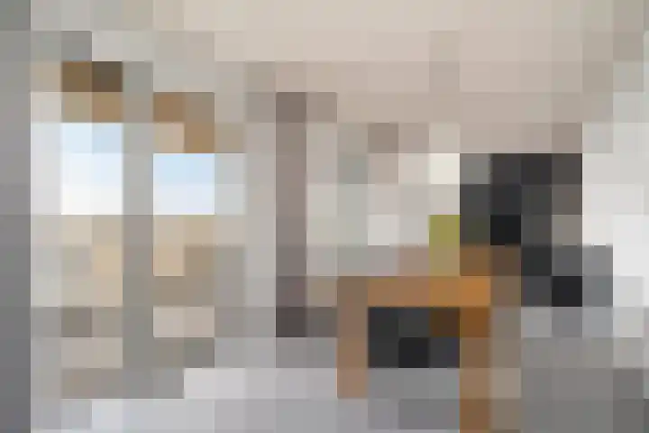Meidoornlaan 139 Pijnacker thumbnail 7