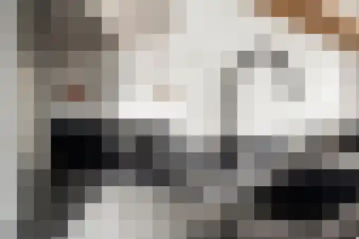 Meidoornlaan 139 Pijnacker thumbnail 8