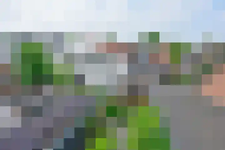 Meidoornlaan 89 en Pijnacker