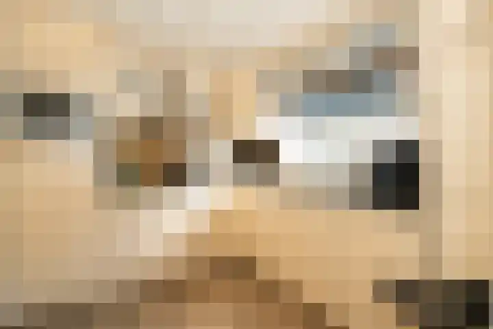 Meidoornstraat 5 Epe thumbnail 13